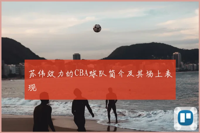 苏伟效力的CBA球队简介及其场上表现